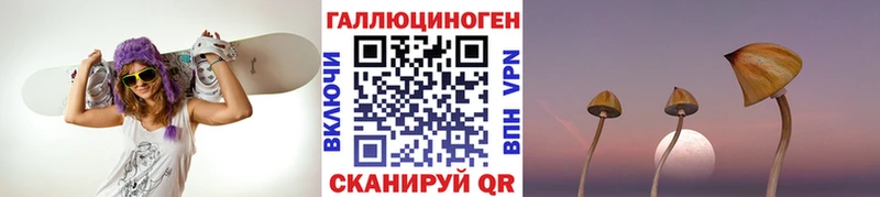 Псилоцибиновые грибы MAGIC MUSHROOMS  наркота  Оренбург 