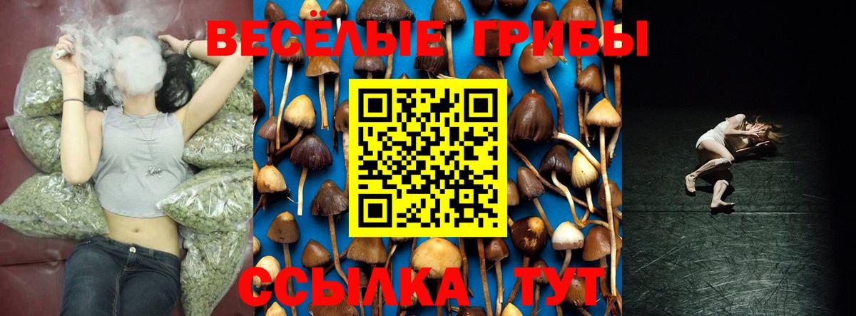 Галлюциногенные грибы Cubensis  Вход с VPN  Псилоцибиновые грибы мицелий  Оренбург 